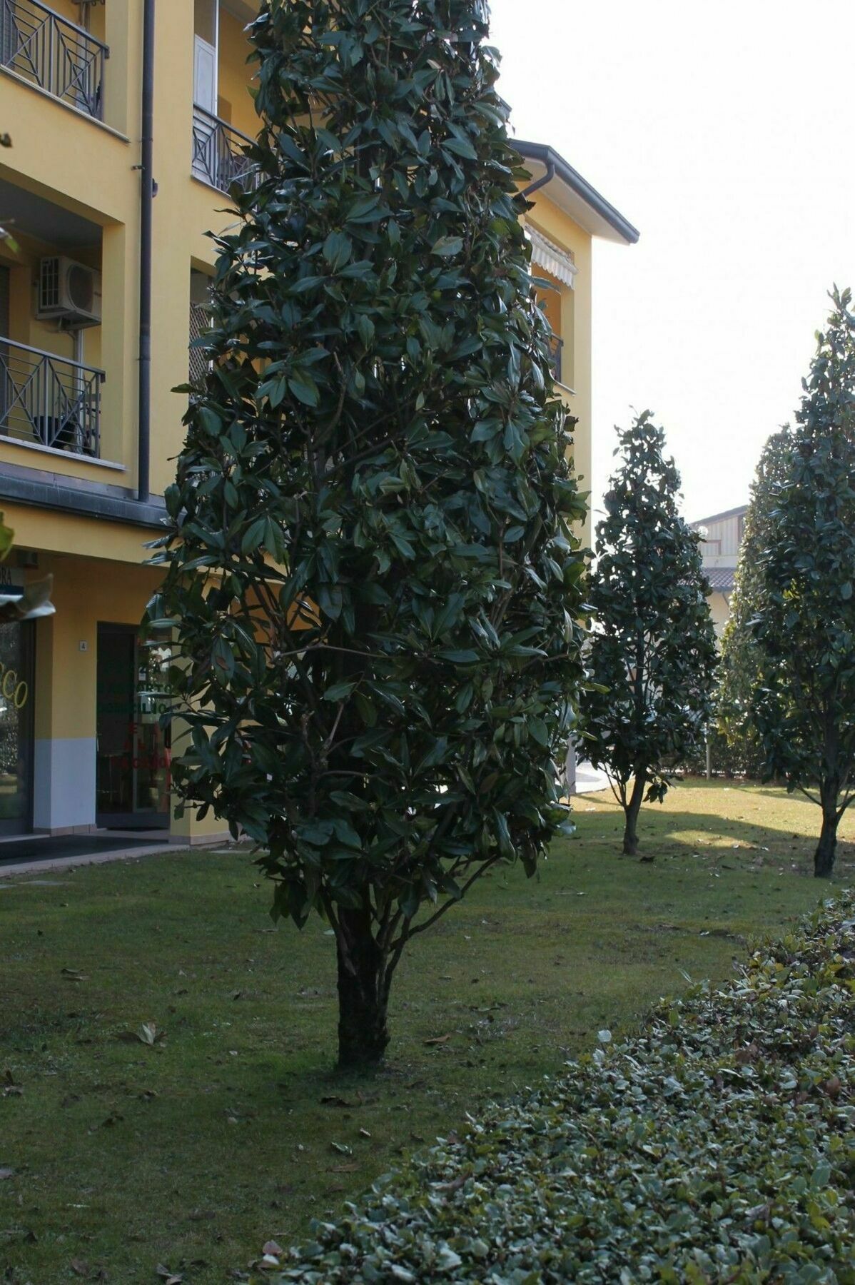 Sarno Apartments Caravaggio Сірміоне Екстер'єр фото